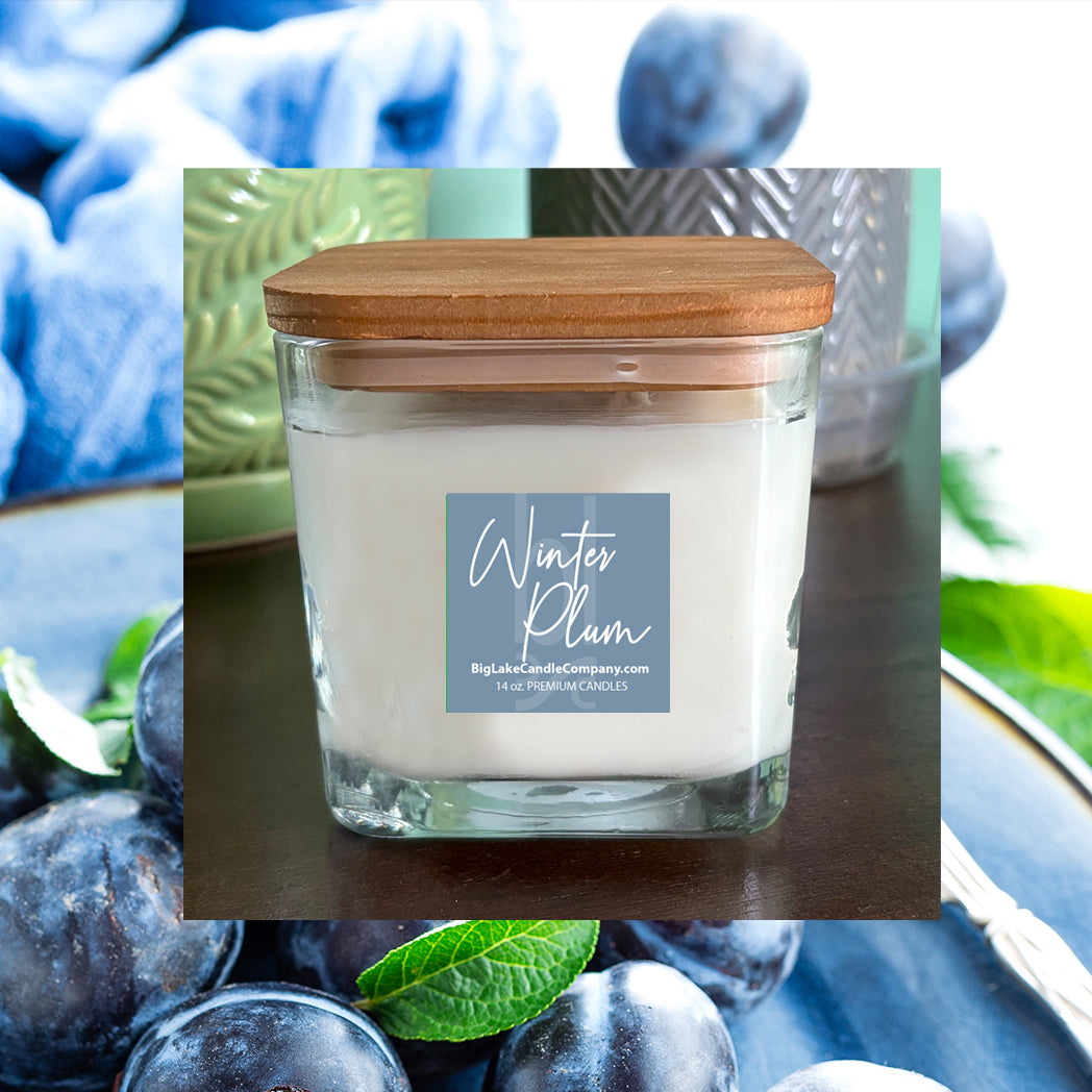 Winter Plum Candle (14 oz.)