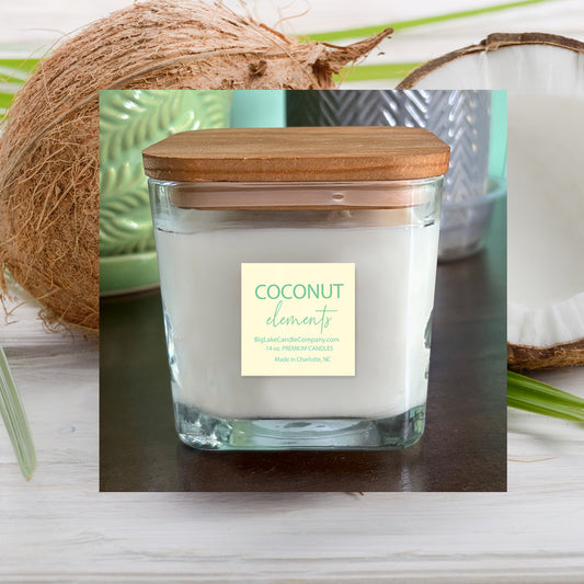Coconut Elements Refillable Candles (14 oz.)